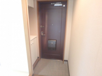 きれいな玄関です