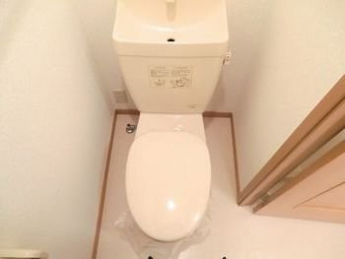 落ち着いた色調のトイレです