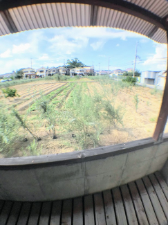 【展望】