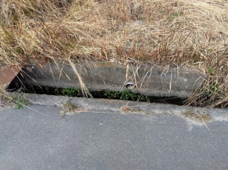 松山市余戸西３丁目の売地の画像