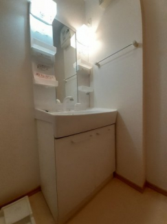 ゆったりとスペースのある洗面所