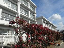 松山市立鴨川中学校 796m