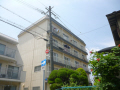 きれいな外観です