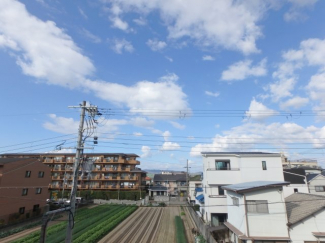 お部屋からの眺め