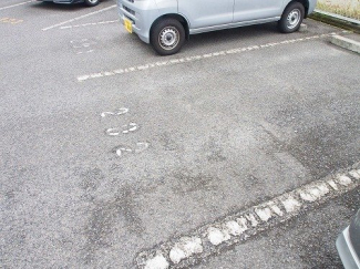 駐車場に車を止められます