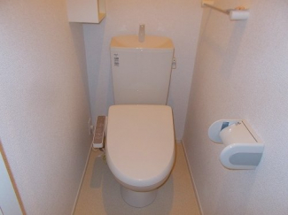 落ち着いた色調のトイレです