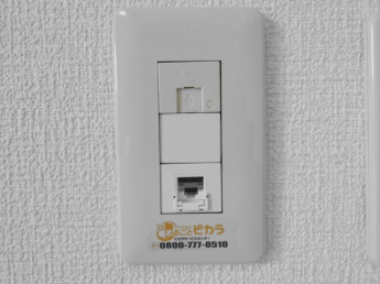 ネット無料導入済み