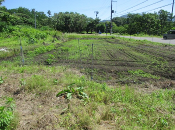名色神鍋ドーム前売土地の画像