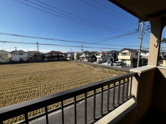 【展望】