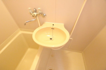 スペースが確保できる洗面所です