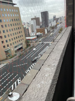 【展望】