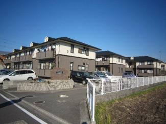 完成写真