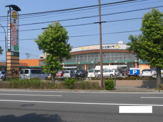 おひさま市