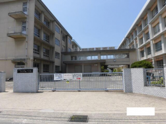 松山市立たちばな小学校まで772m
