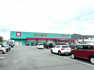 ドラッグストアコスモス宇和店まで4002m