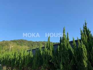 【展望】