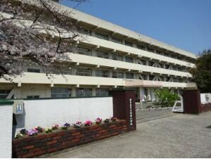 新居浜市立金栄小学校まで1189m