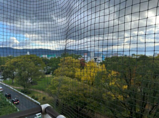 労住協永木町東ハイの画像