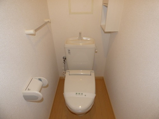 落ち着いた色調のトイレです