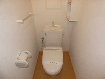 落ち着いた色調のトイレです