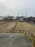 今治市大西町新町の売地の画像