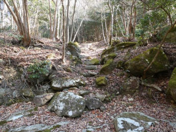 兵庫県三田市上青野の画像