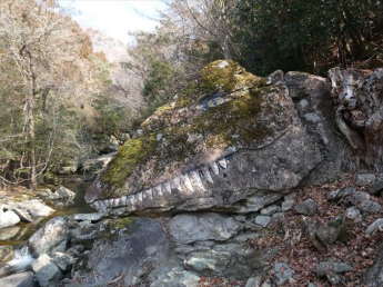 兵庫県三田市上青野の画像