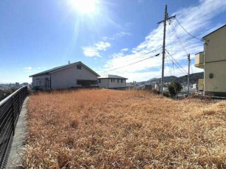 現地（北側より撮影）