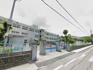 新居浜市立角野小学校まで1196m