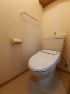 落ち着いた色調のトイレです