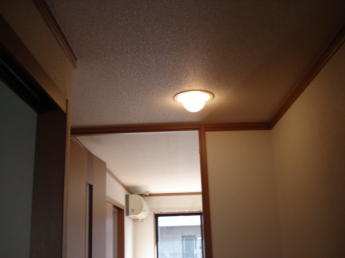 照明