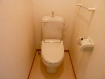 落ち着いた色調のトイレです