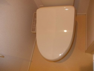 落ち着いた色調のトイレです