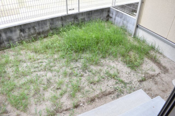 小さなお子様の遊び場としても最適です。