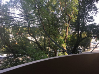 【展望】