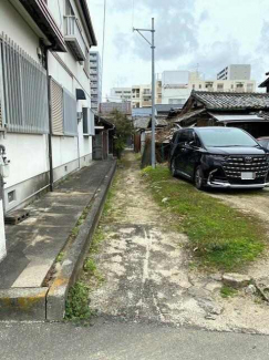 ２０２５年３月撮影