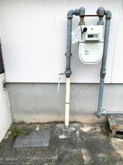 ２０２５年３月撮影