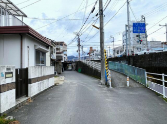 ２０２５年３月撮影