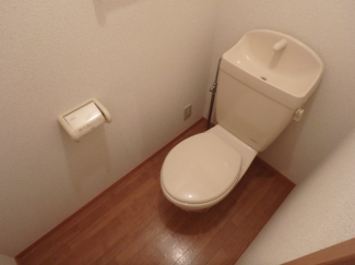 落ち着いた色調のトイレです