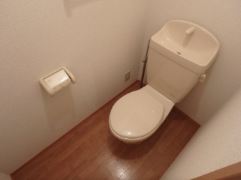 落ち着いた色調のトイレです