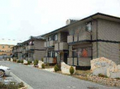 松山市和泉南２丁目のアパートの画像