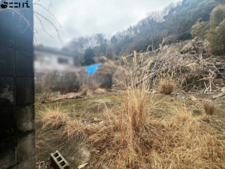 【その他】