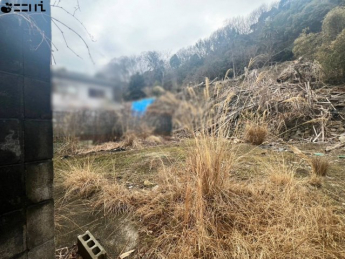 【その他】