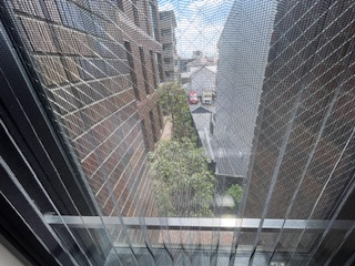 【展望】