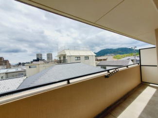 【展望】