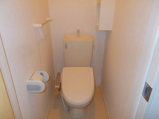 落ち着いた色調のトイレです