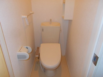 落ち着いた色調のトイレです