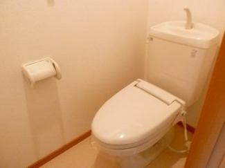 ゆったりとした空間のトイレです
