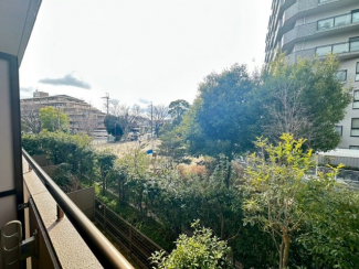 【展望】