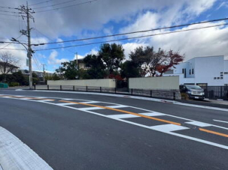 【前面道路含む現地写真】